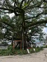 野島神社(宮崎県)