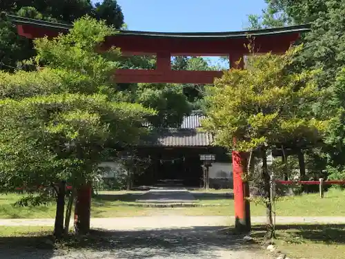 賀茂神社の鳥居