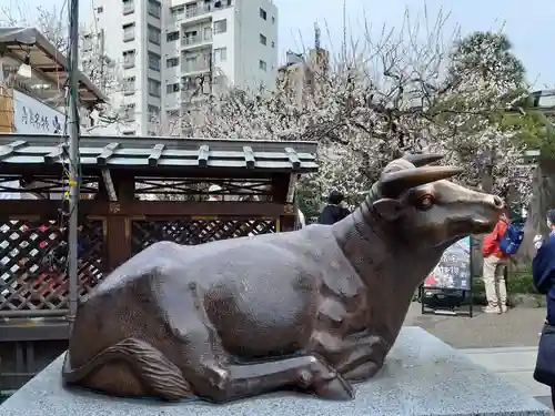 湯島天満宮の狛犬