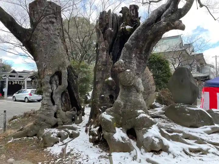 深志神社(長野県)