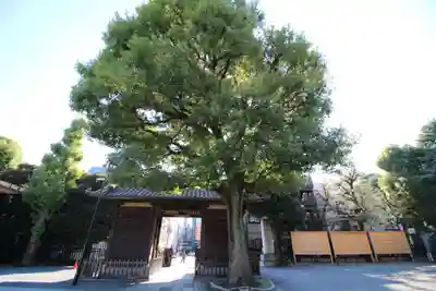 宝仙寺(東京都)