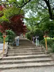 新倉富士浅間神社(山梨県)