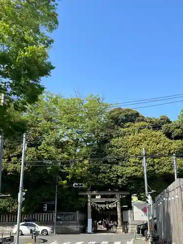 川越氷川神社(埼玉県)