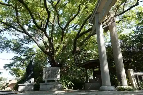 真田山 三光神社のその他建物