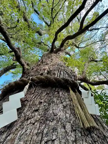 新熊野神社(京都府)
