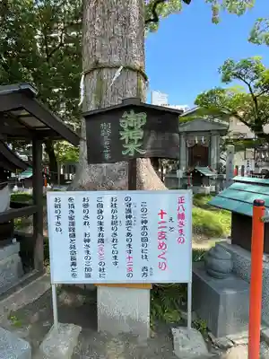 正八幡宮(福岡県)
