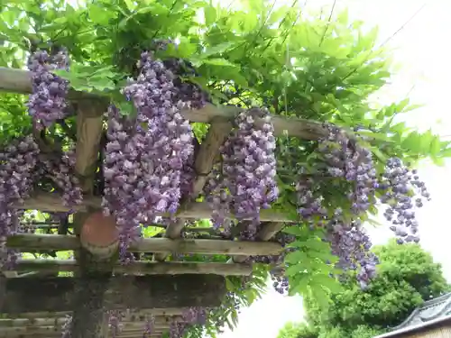 興福寺 南円堂の自然