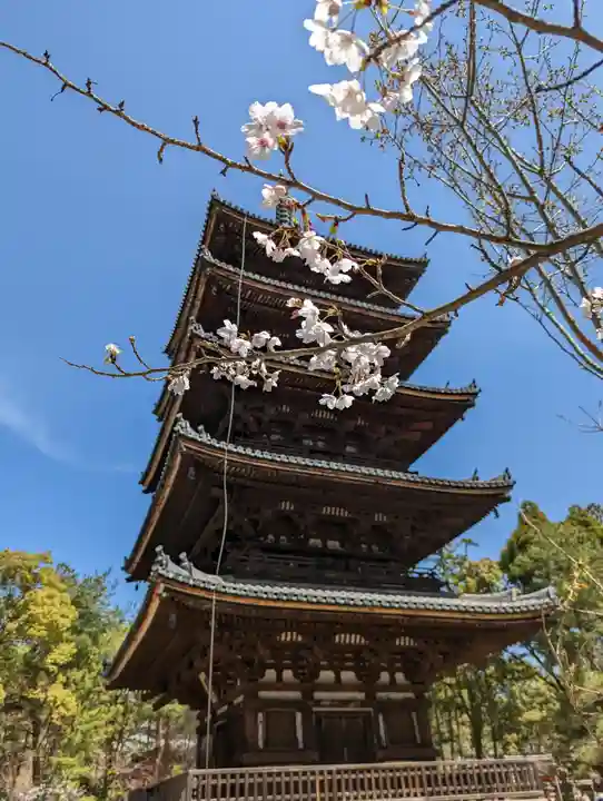 仁和寺のその他建物