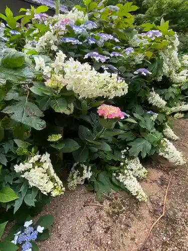 西法院(岡山県)