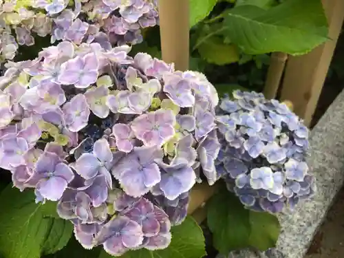 三室戸寺の自然