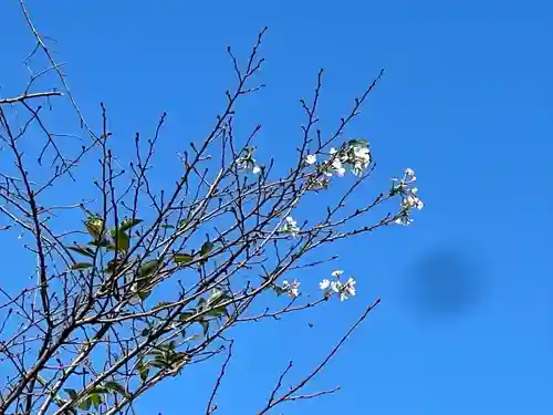 手力雄神社(岐阜県)