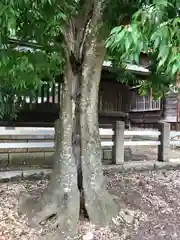 白根神社の自然