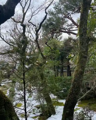 大光院の庭園