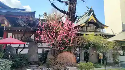 素盞雄神社(東京都)