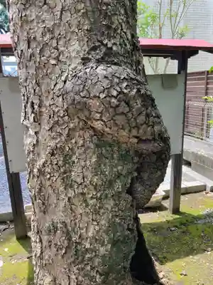 芳川神社(埼玉県)