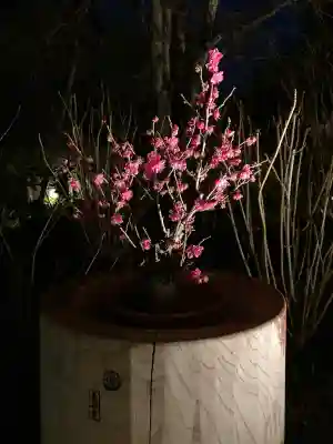 長谷寺の{uncategorized: "未分類", other: "その他", undefined: "問題あり", building: "その他建物", grave: "お墓", sacred_gate: "鳥居", guardian: "狛犬", statue: "像", buddha: "仏像", history: "歴史", nature: "自然", garden: "庭園", animal: "動物", pagoda: "塔", temizu: "手水舎", mountain_gate: "山門・神門", sanctuary: "本殿・本堂", subordinate: "末社・摂社", art: "芸術", scenery: "景色", jizo: "地蔵", ema: "絵馬", goshuin: "御朱印", omikuji: "おみくじ", items: "授与品その他", amulet: "お守り", goshuincho: "御朱印帳", eats: "食事", festival: "お祭り", votive_dance: "神楽", shichigosan: "七五三参", wedding: "結婚式", experience: "体験その他", initially: "初詣", around: "周辺", anti_infection: "感染症対策"}