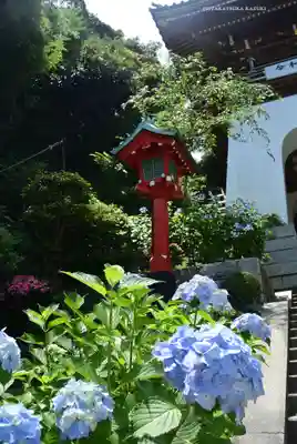 江島神社(神奈川県)