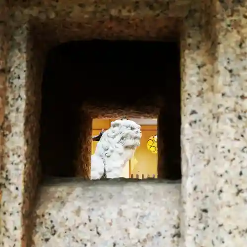 小金井神社の狛犬