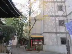 頂法寺（六角堂）の自然