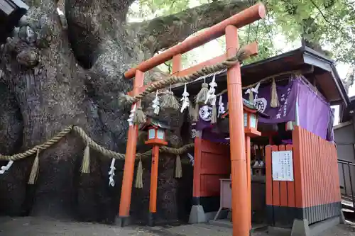 三島神社の末社