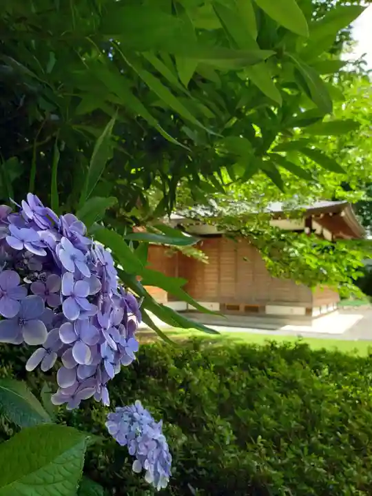 阿佐ヶ谷神明宮(東京都)