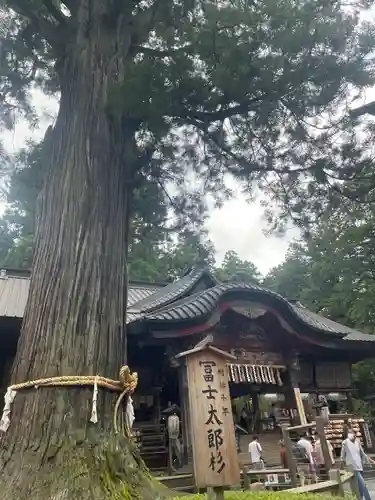 北口本宮冨士浅間神社の建物その他