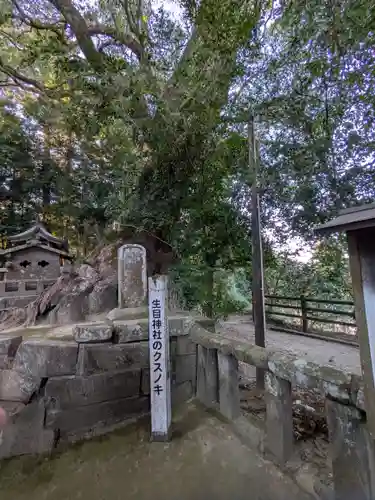 生目神社(宮崎県)