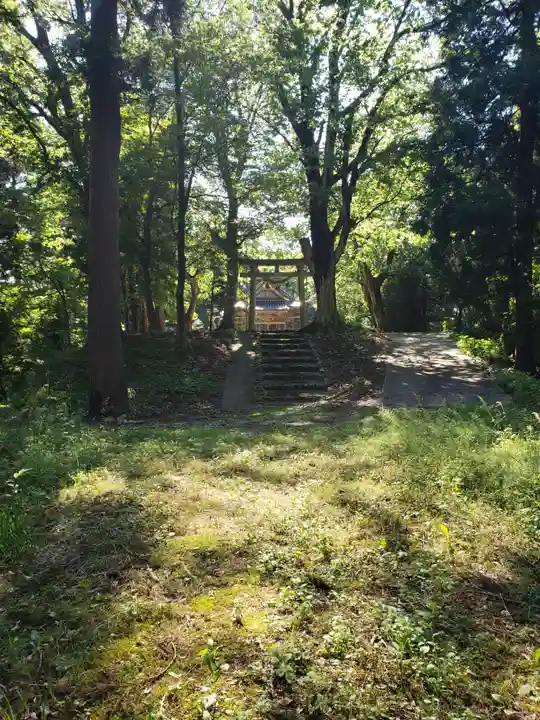 見多気神社の自然