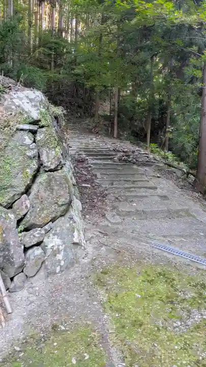 三鈷寺(京都府)