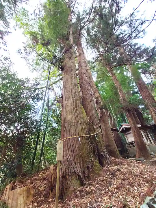 熊野神社(宮城県)