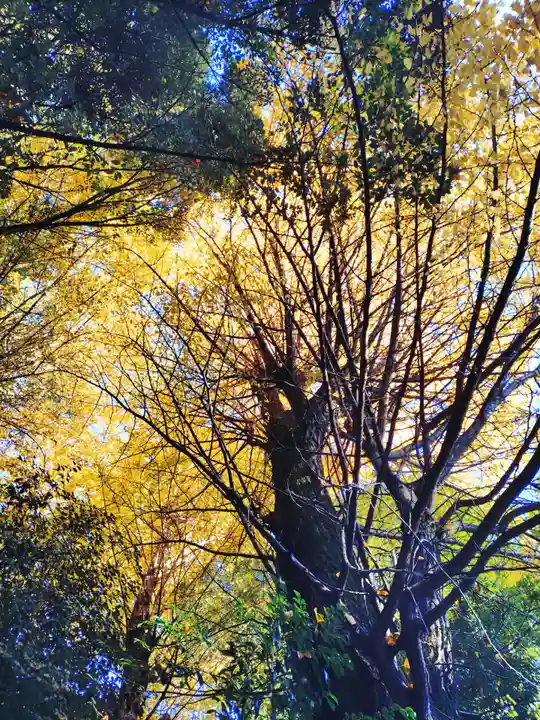 正松神社(東京都)