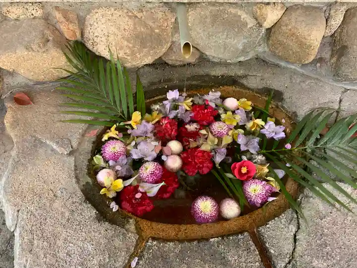 生田神社の手水舎