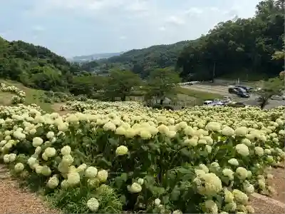 陽林寺(福島県)