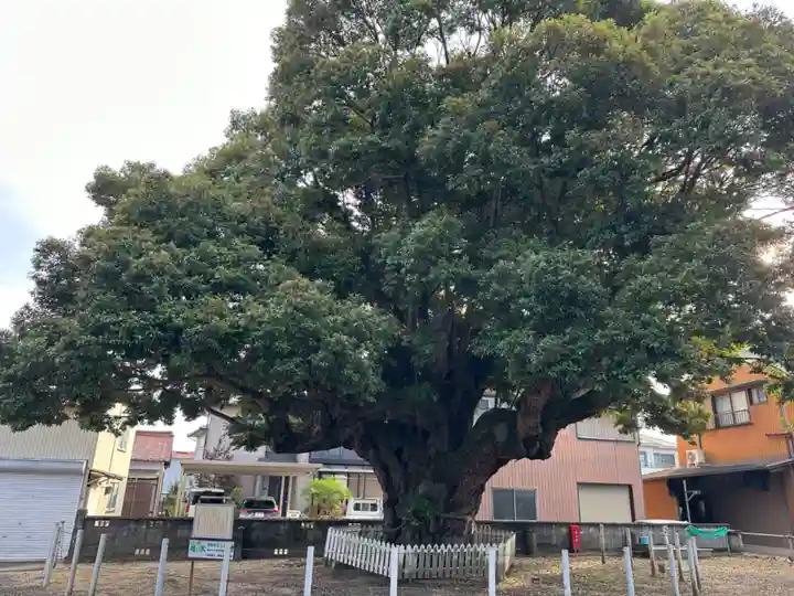 川俣神社(三重県)