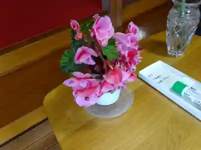 妙蓮寺(神奈川県)