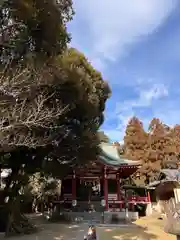 柏諏訪神社の本殿