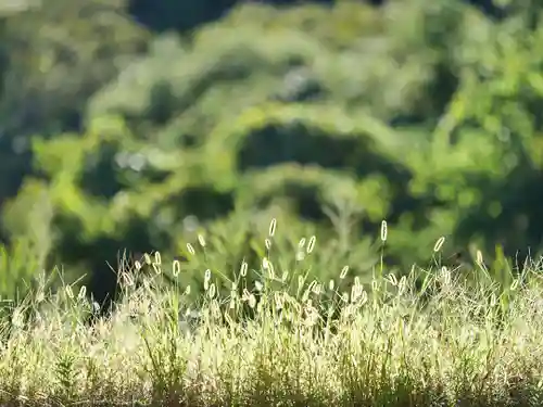 高司神社〜むすびの神の鎮まる社〜(福島県)