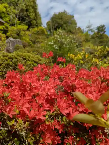 等持院(京都府)
