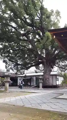 平野神社のその他建物