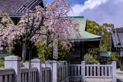 和泉國一之宮　大鳥大社のその他建物