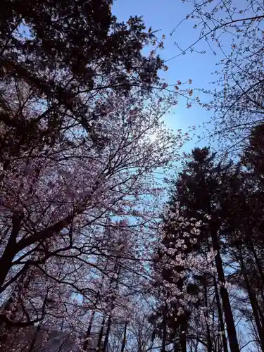 大谷地神社(北海道)