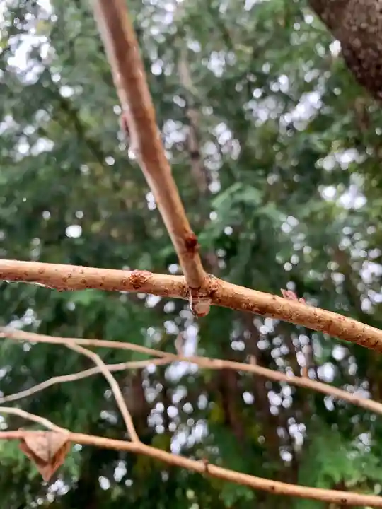 滑川神社 - 仕事と子どもの守り神の自然