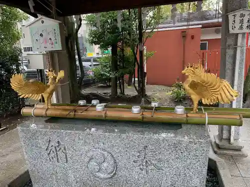 富岡八幡宮の手水舎