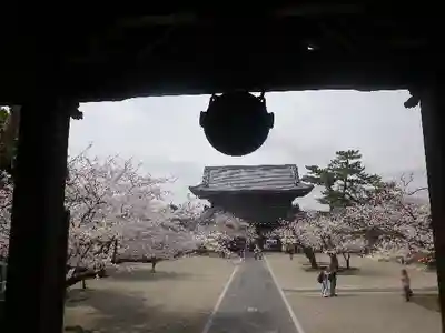 光明寺のその他建物