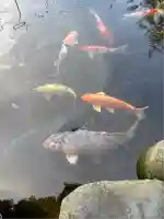 熊野神社(山形県)