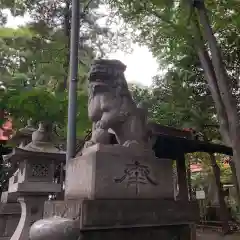 氷川神社の狛犬