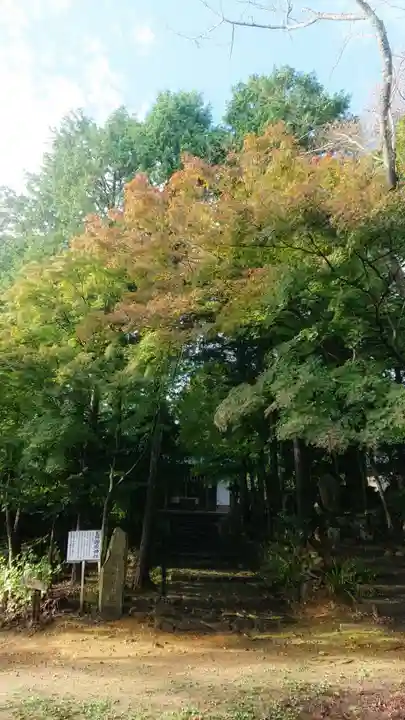玉野御嶽神社の景色