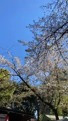 田無神社(東京都)