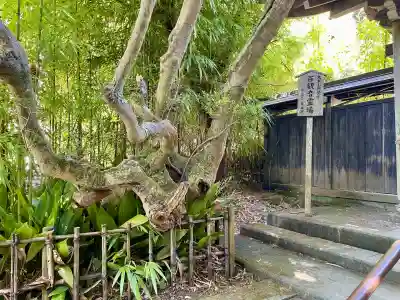 黄梅院(円覚寺塔頭)(神奈川県)
