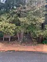 和田大仏(福島県)